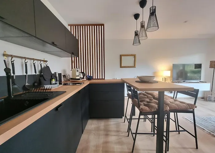 Superbe Terrasse Et Parking Prive *