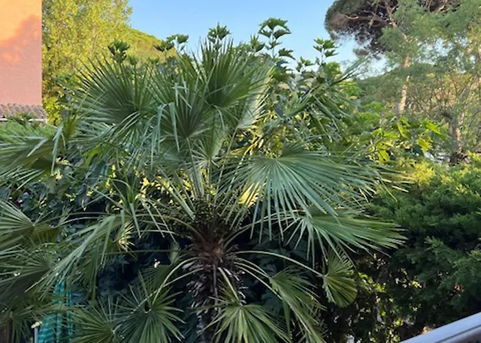 Superbe Terrasse Et Parking Prive Apartmán *